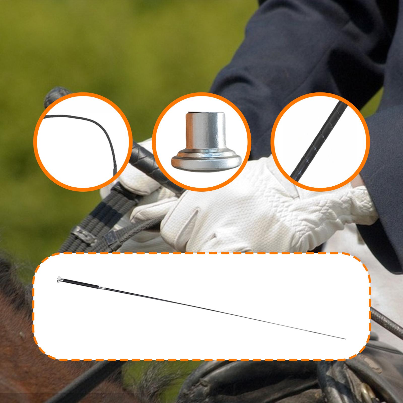 Metal Nylon PU Riding Crop Tel - Riding Crop Dressage avaliação e preço