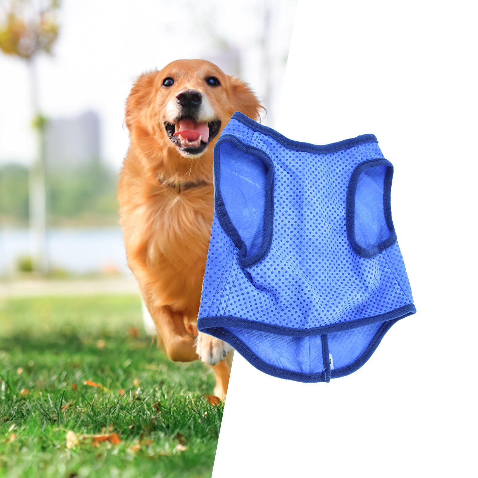 Dog Cooling Vest Breathable Su - Outdoor Sport Coat avaliação e preço