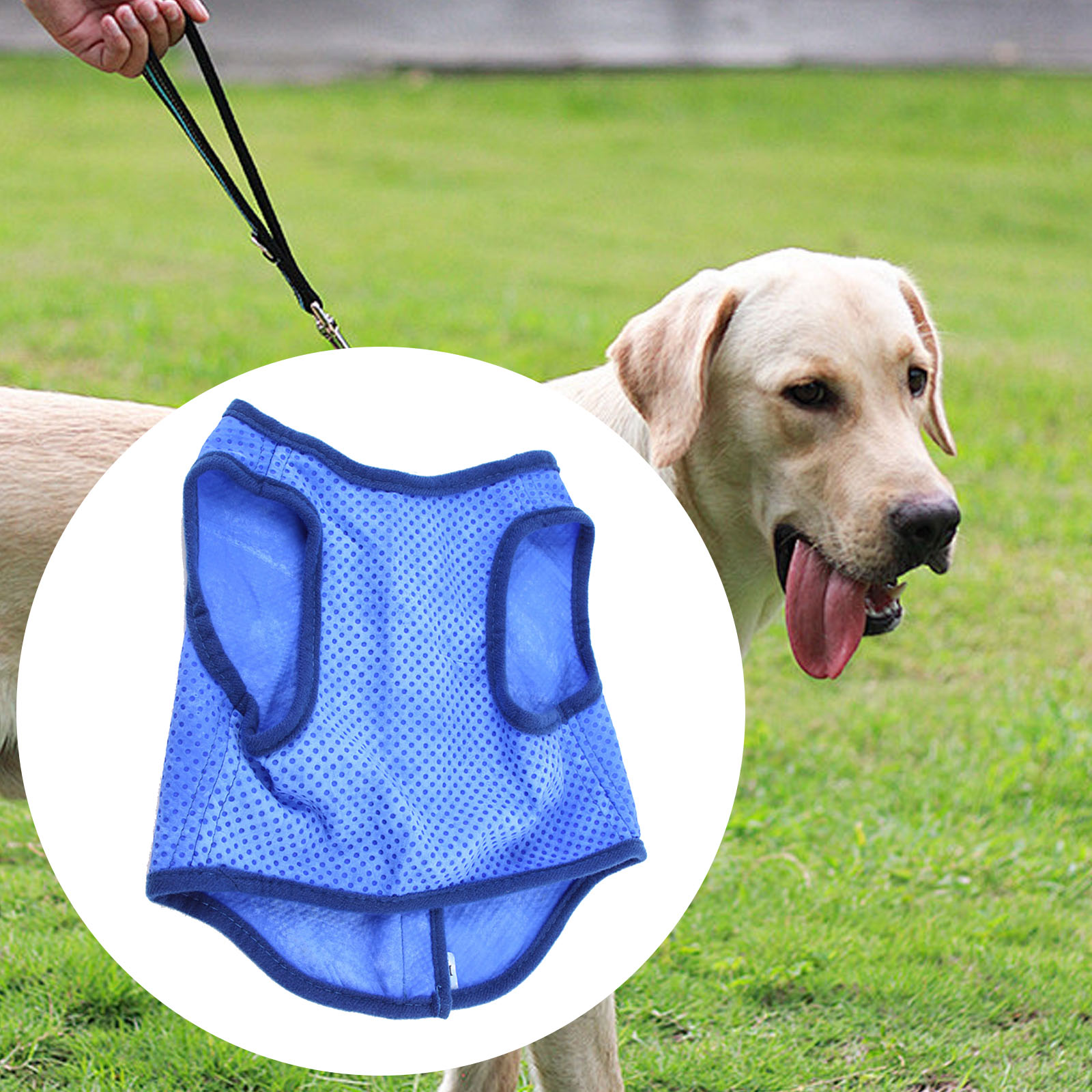 Dog Cooling Vest Breathable Su - Outdoor Sport Coat avaliação e preço