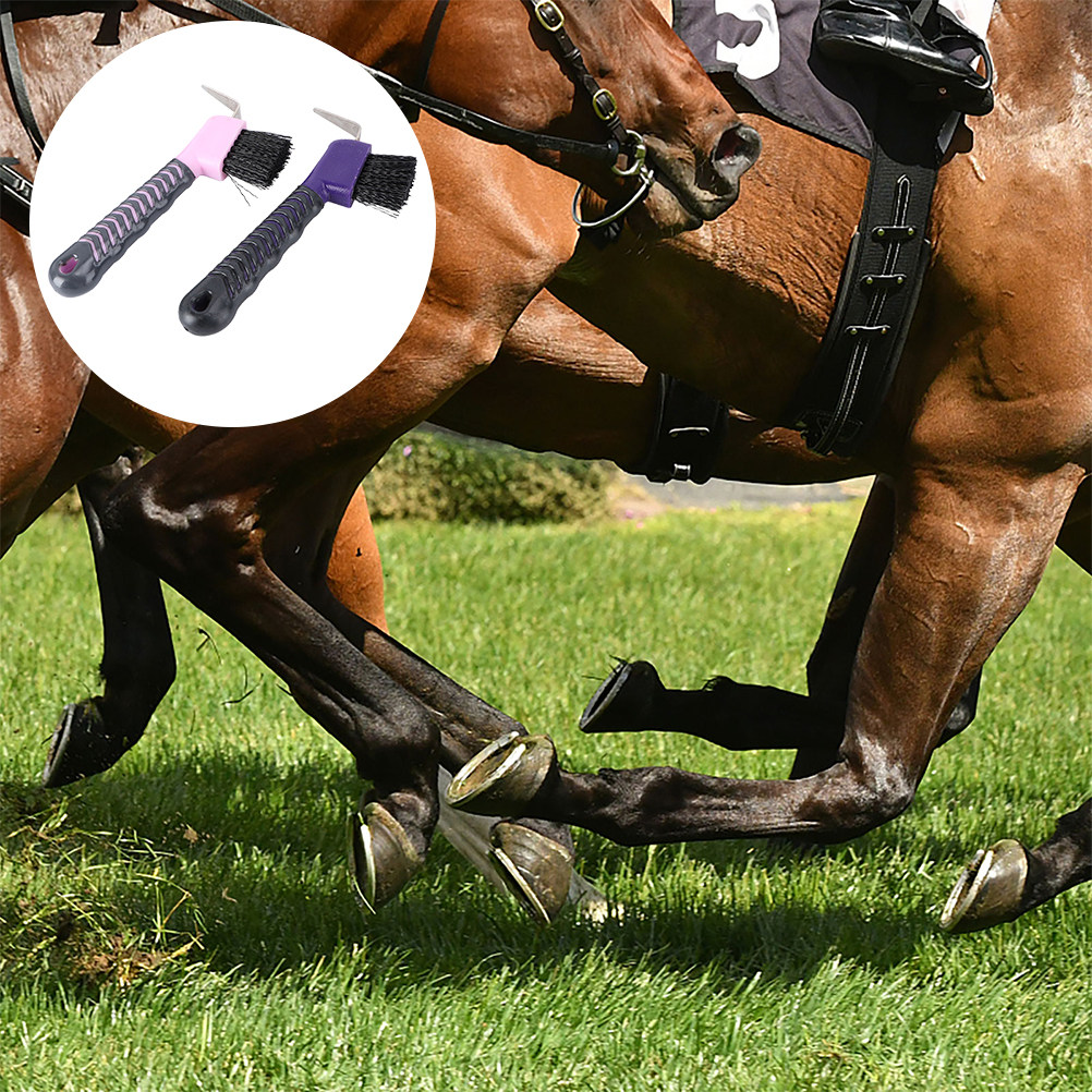 2Pcs Horse Hoof Cleaning Tool  - Brushing Boot Horse avaliação e preço