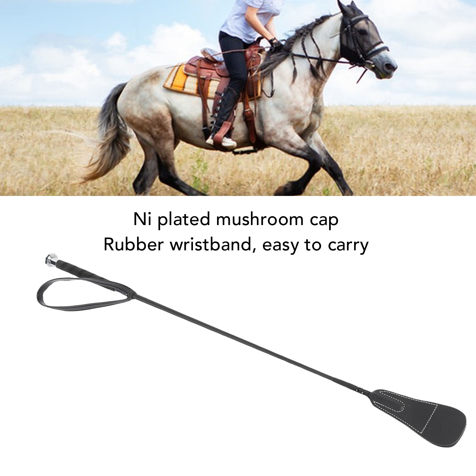 Dressage Whip Riding Whip Ridi - Riding Crop Dressage avaliação e preço