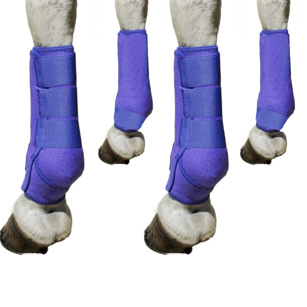 4pcs/set Colorful Horse Sport  - Brushing Boot Horse avaliação e preço