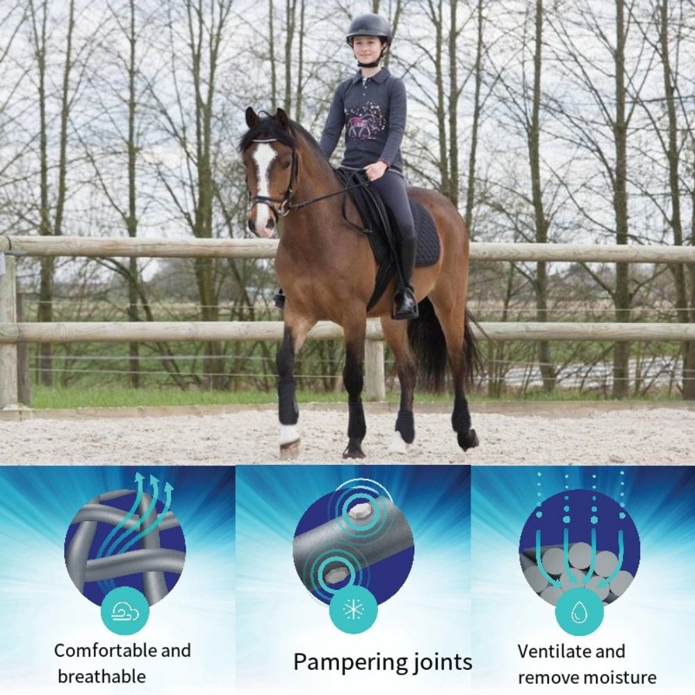 4pcs/set Colorful Horse Sport  - Brushing Boot Horse avaliação e preço