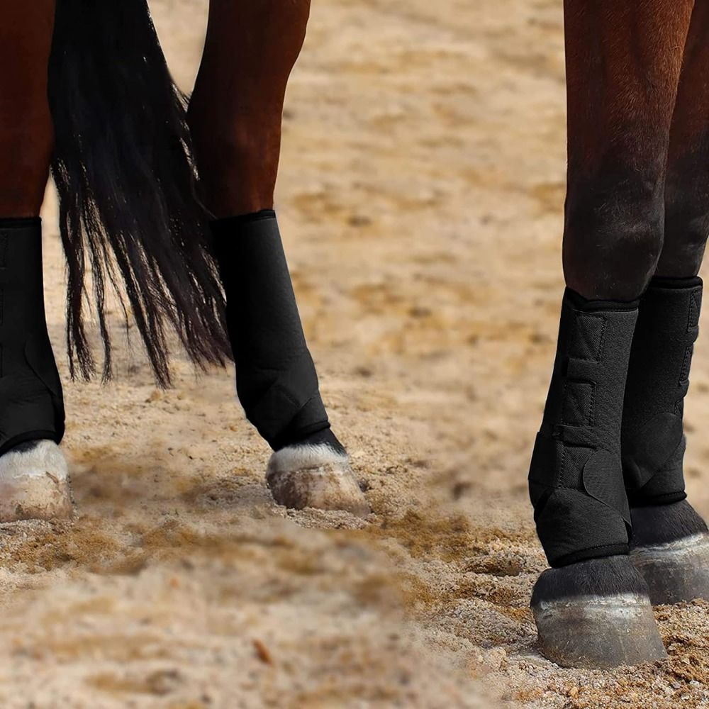 4pcs/set Colorful Horse Sport  - Brushing Boot Horse avaliação e preço