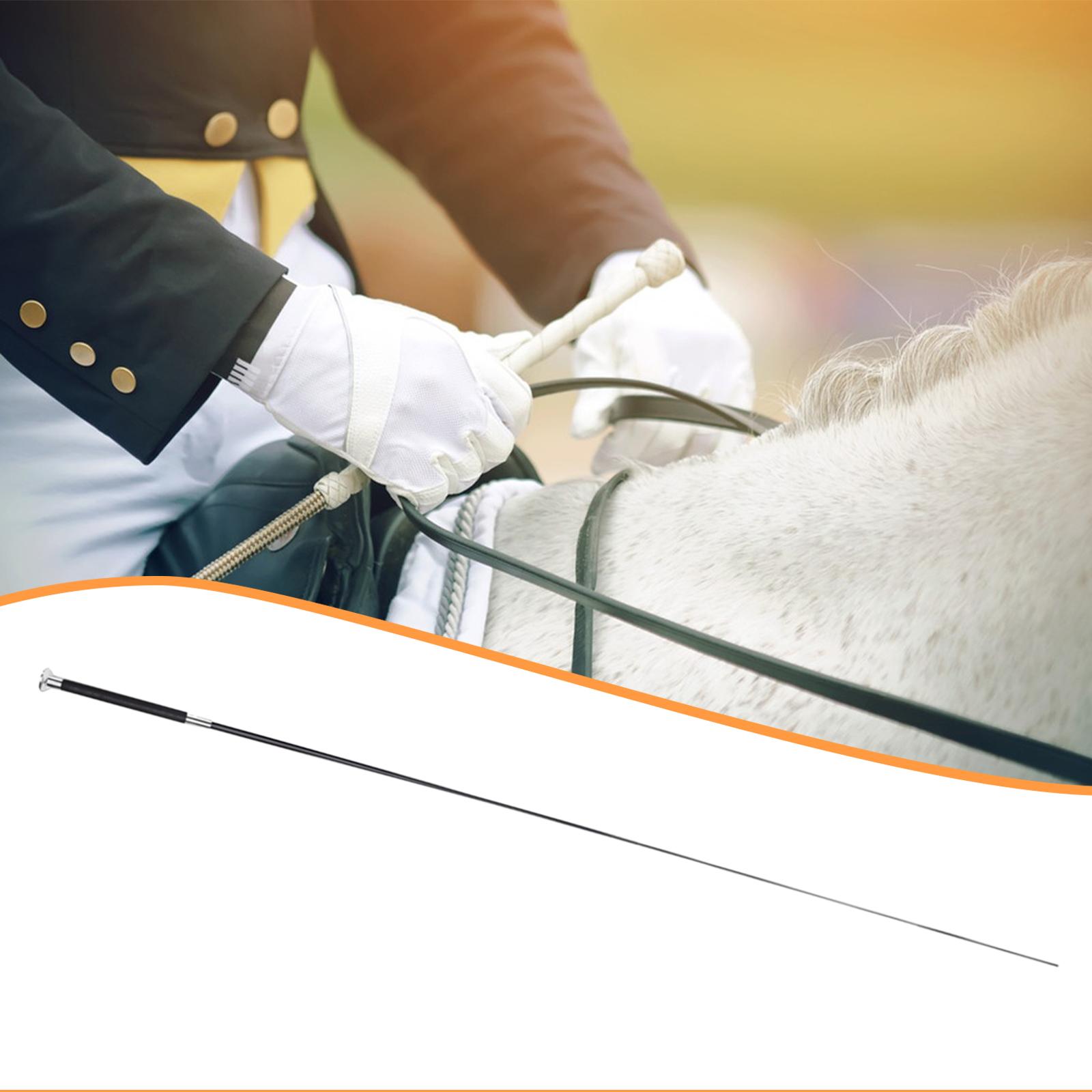 Equestrian Horse Riding Crop W - Riding Crop Dressage avaliação e preço