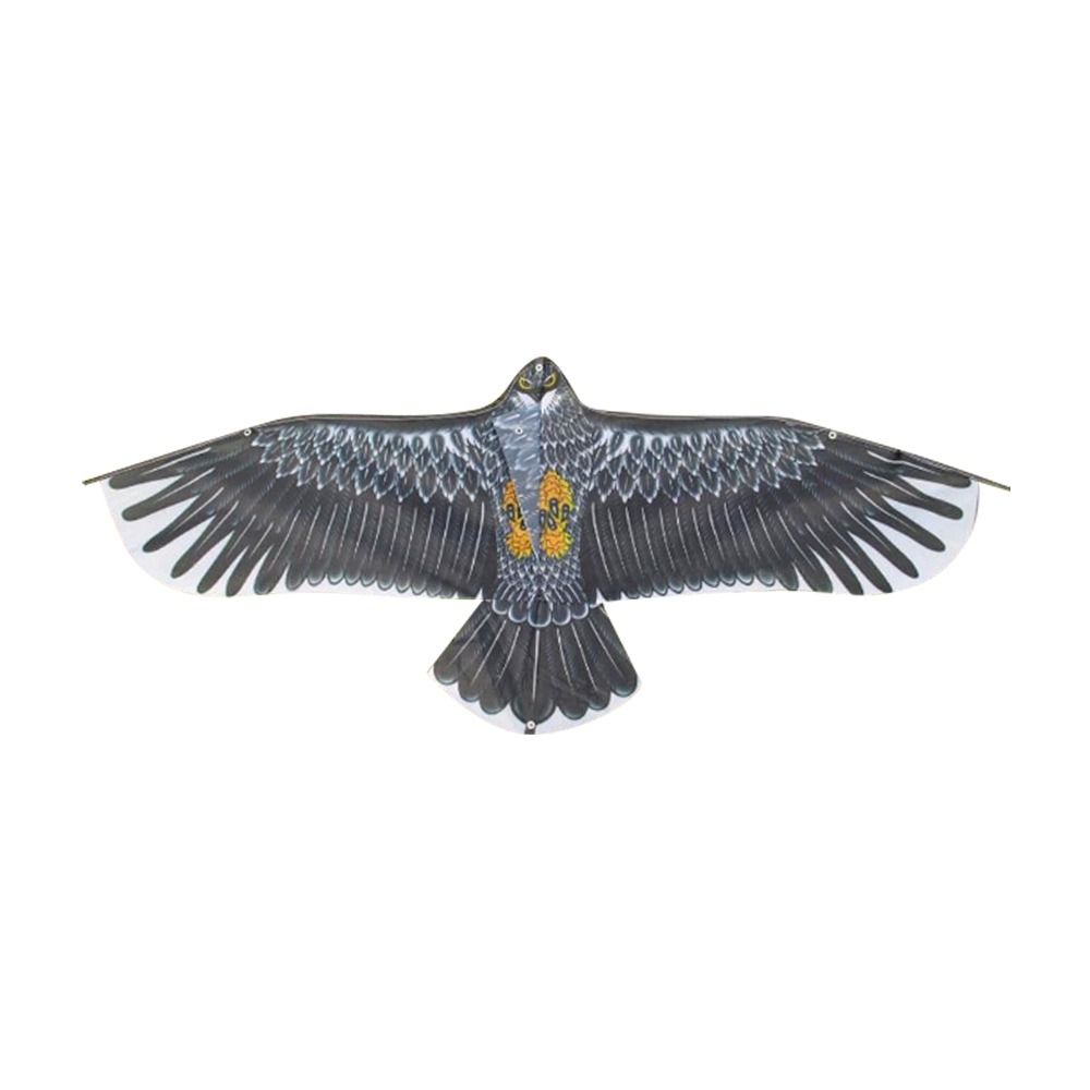 1.1m Eagle Kite With 30m Kite  - Outdoor Sport Activity avaliação e preço