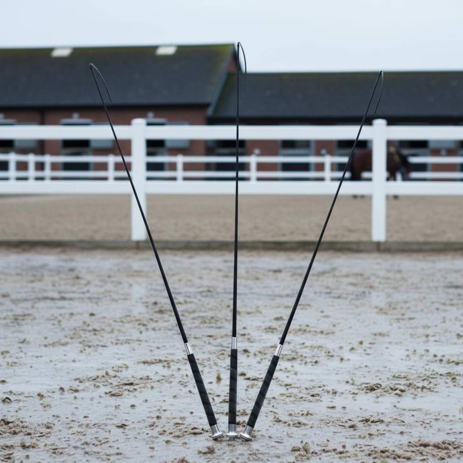 3 Pieces Dressage Training Whi - Riding Crop Dressage avaliação e preço